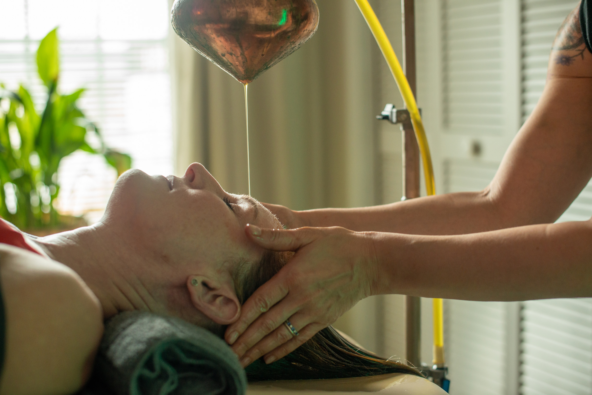 Bodhi Salt in Louisville, KY - photo 5